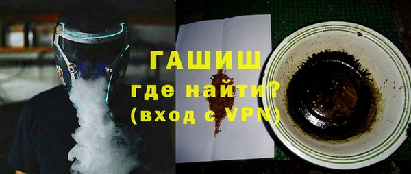 хмурый Пересвет