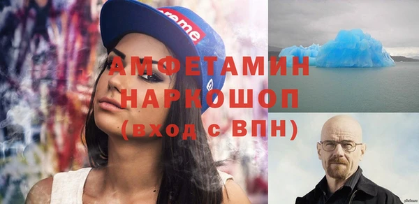 хмурый Пересвет