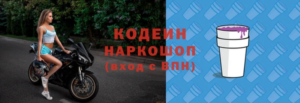 хмурый Пересвет