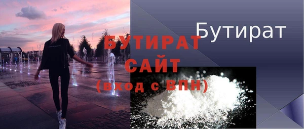 хмурый Пересвет