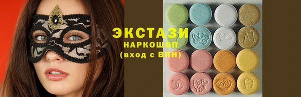 хмурый Пересвет
