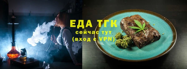 хмурый Пересвет
