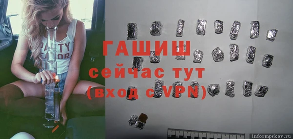 хмурый Пересвет