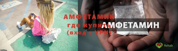 хмурый Пересвет
