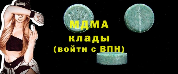 хмурый Пересвет