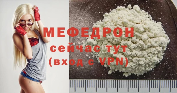 хмурый Пересвет