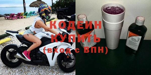 хмурый Пересвет