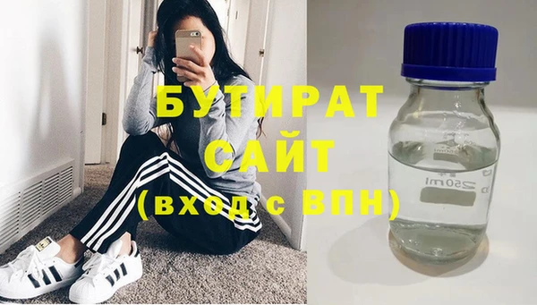 хмурый Пересвет