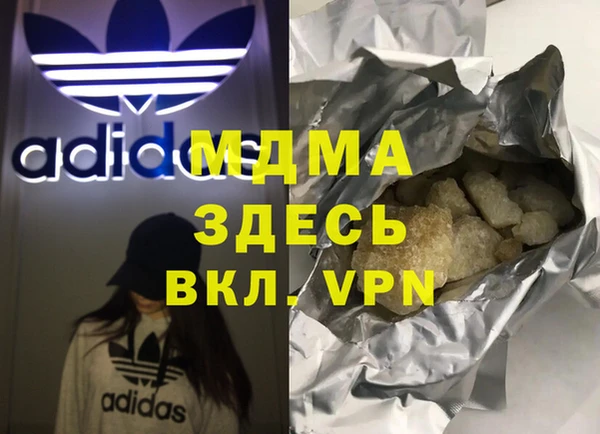 хмурый Пересвет