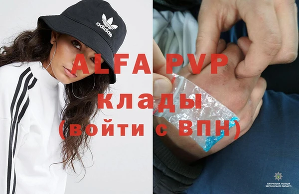 хмурый Пересвет