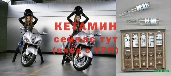 хмурый Пересвет
